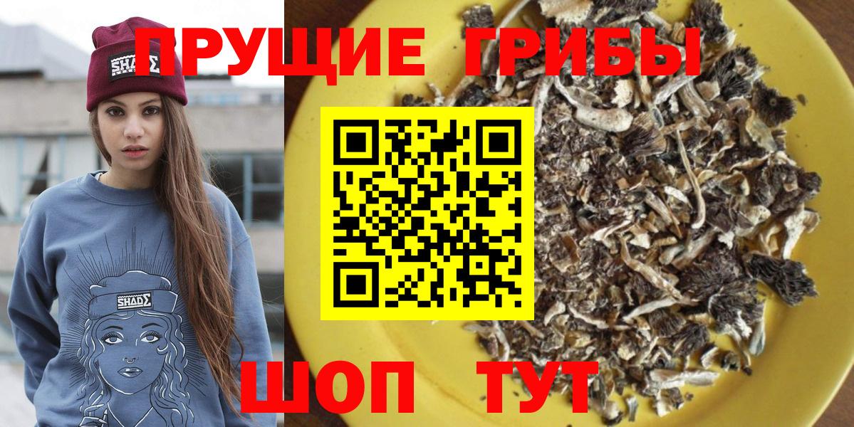 Курск  Псилоцибиновые грибы Magic Shrooms  Вход с VPN  Галлюциногенные грибы Magic Shrooms 